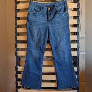 Democracy "Ab"solition Dark Blue Flare Jeans